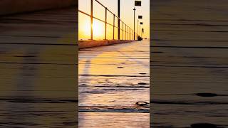 Frankston Beach Melbourne Vic sunset [upl. by Ahsinuq637]