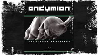 Endymion  Payback [upl. by Flannery]