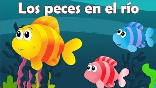 🎸 Los Peces en el río Tutorial  Acordes  Letra  VICTOR SALINAS [upl. by Olemrac990]