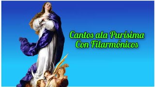 Cantos Ala Purísima Con Filarmónicos  22 [upl. by Eihcir612]