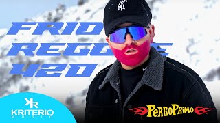 Perro Primo DTBilardo  Frio  Video Oficial Reggae 420 [upl. by Ahsaetan]