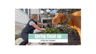 My First Day of Spring Clean Up and Cutting Back Perennials [upl. by Samau]