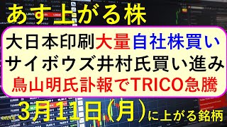 あす上がる株 2024年３月１１日（月）に上がる銘柄 ～最新の日本株での株式投資。初心者でも。鳥山明氏訃報でTRICO急騰。サイボウズを井村。大日本印刷の自社株買いと自己株消却～ [upl. by Ylac]