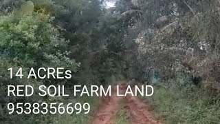 Nm 14 ACREs  FIND YOUR DREAM FARM LAND WITH US  DEFINING A NEW ERA OF LIFE  CONTACT9538356699 [upl. by Dymphia]