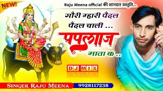 Paplaj mata song RAJU MEENA [upl. by Ilocin271]