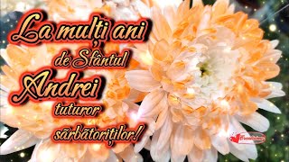 🎉La mulți ani de Sfântul Andrei  Andreea Andu Andra 🥰 Urări și Mesaje frumoase de ziua onomastica [upl. by Odarnoc508]