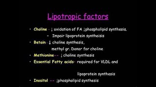 Lipotropic factors  Definition Types Mechanism of action Importance Clinical Use [upl. by Bohlin761]