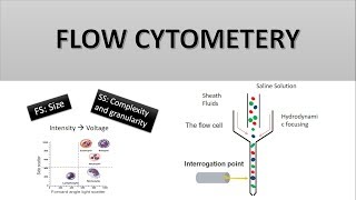 The Principle of Flow Cytometry and FACS 1 Flow Cytometry [upl. by Killam268]