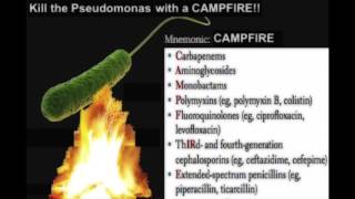 Treatment For Pseudomonas aeruginosa Mnemonic [upl. by Amara]