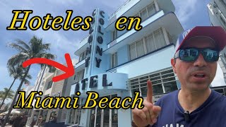 Mejores Hoteles En Miami Beach Donde Hospedarse en Tus Vacaciones En Florida [upl. by Bellis]