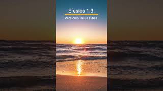 Efesios 13 Versículo De La Biblia [upl. by Vaden4]