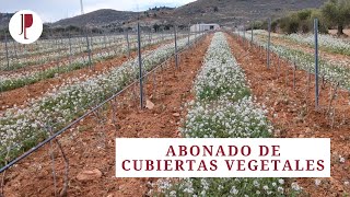 Abonado de cubiertas vegetales [upl. by Wamsley]