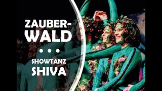 Showdance Zauberwald  Showtanzgruppe Shiva 20182019 [upl. by Onitselec680]