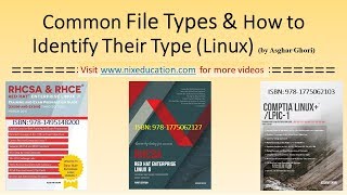 Common Linux File Types and How to Identify Their Type [upl. by Acira374]