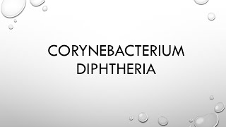 Microbiology corynebacterium diphtheria [upl. by Renelle293]