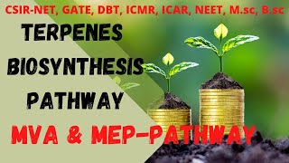 Terpenes  Terpenes Biosynthesis Pathway  Plant Secondry Metabolites biologyachievers [upl. by Marcella380]