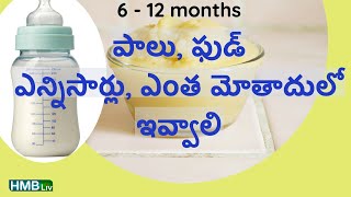 6  12 months baby  ఫుడ్ amp పాలు ఎన్ని సార్లు ఎంత మోతాదులో ఇవ్వాలి  HMBLIV channel [upl. by Hilel]