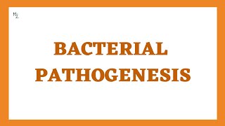 Bacterial Pathogenesis Stages Determinants and Virulence  This is How Bacteria Cause Damage [upl. by Uhile637]