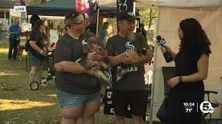 Skunk enthusiasts gather in North Ridgeville to celebrate their favorite little stinkers [upl. by Nadaha647]