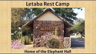 Letaba Rest Camp Kruger National Park South Africa [upl. by Anytsirk]