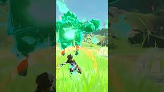 Daruk Rush 101  Breath of the Wild Glitches [upl. by Faxon]