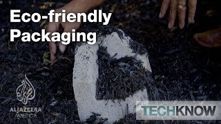 Ecofriendly Packaging  TechKnow [upl. by Elaval]