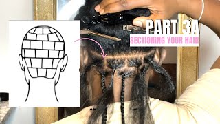 DIY Braid Series  Part 3 Sectioning Your Hair [upl. by Asilav]