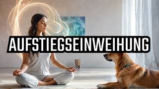 💫Aufstiegsenergien der Portaltage im Oktober nutzen ASMR Meditation für dich und dein Haustier 🎧🌈 [upl. by Yoreel]