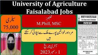 University of Agriculture Faisalabad Jobs I Latest Gov Jobs 2023 I General Knowledge [upl. by Donni]