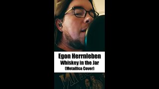 Egon Herrnleben  Whiskey In The Jar Metallica Cover [upl. by Oflunra]