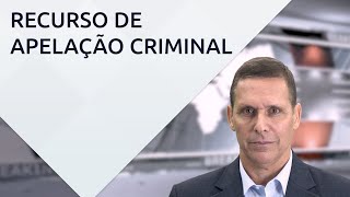 Recurso de apelação criminal  com professor Fernando Capez [upl. by Gewirtz627]