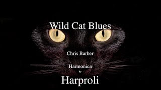 Wild Cat Blues“ Cats Cats Cats Harmonica by Harproli [upl. by Ambrogio]