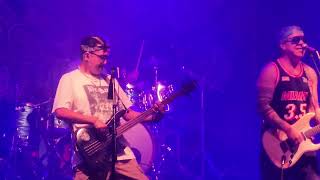 Badfish  Wrong Way Sublime cover Jannus Live 2024 [upl. by Jobie]