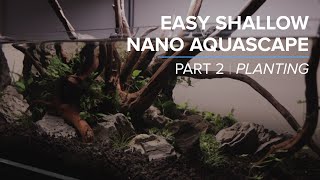 Low Tech Shallow Nano Aquascape  Low Boy Nano Aquarium Planted Tank Spider Wood Seiryu Stone Part 2 [upl. by Anai]