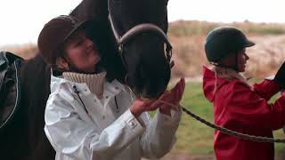 FROM THIS IS FARMERRAIN HORSE IN THE RAIN [upl. by Horowitz364]