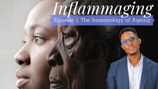 Inflammaging  Episode 1 The Immunology of Ageing [upl. by Storm319]