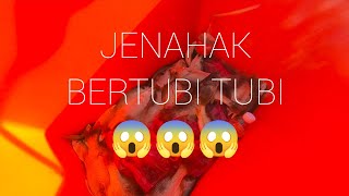 JENAHAK  BERTUBI TUBI 😱😱😱 [upl. by Gimpel993]