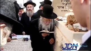 Amshenov Rebbe Davening At His Shver The Lubliner Rebbe s Tziyun On The Yahrtzeit [upl. by Cirillo]