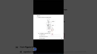 Labelling parts of the alimentary canal [upl. by Levine950]