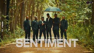 Denzel amp Swanki  SENTIMENT POU OU ft Wave Empire Music Clip Officiel [upl. by Eldred272]