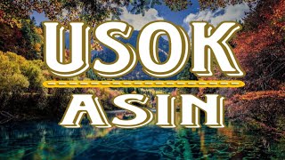 USOK WITH LYRICS BY ASIN COVER [upl. by Alesi]