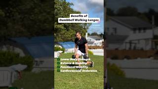 Benefits of Dumbbell Walking Lunges A Classic Leg Exercise for Strength Stability amp Muscle [upl. by Nob916]