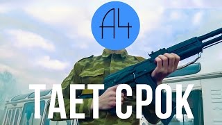 А4  Тает Срок Пародия Грибы  Тает Лёд [upl. by Tullus]