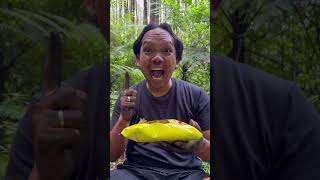 CREATIVE ideas you need to know camping survival bushcraft outdoors lifehack [upl. by Nawat]