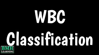 Classification Of WBCs  Types Of WBCs  White Blood Cells  Leukocytes  Function Of WBCs [upl. by Naitirb]