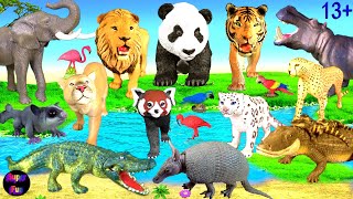 Animals  Lion Tiger Cheetah Cougar Leopard Elephant Hippo Alligator Moose Panda Fox 13 [upl. by Ytisahcal]