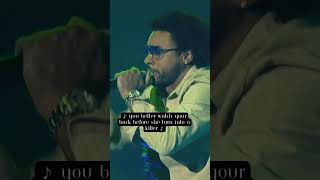 Shaggy ft Rik Rok 🎶 🎤 Performs quotIt Wasn’t Mequot Live in 2001 at the TMF Awards 🏆 music [upl. by Animaj133]