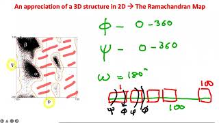 Secondary Strcuture of Proteins Ramachandran Plot  Part 1 [upl. by Justen993]