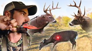 Bowhunting Cold Front Magic  7 Deer Down [upl. by Hollister]