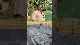 Pondliner customer feedback பண்ணைக்குட்டை தார்பாய் வாடிக்கையாளரின் கருத்து shortsfeed pondliner [upl. by Custer219]